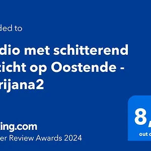 https://studio-met-schitterend-uitzicht-op-oostende-marijana2.hotelsghent.com